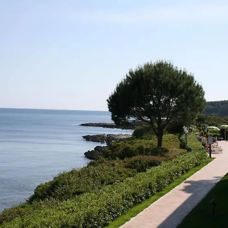 Punta Negra Fertilia