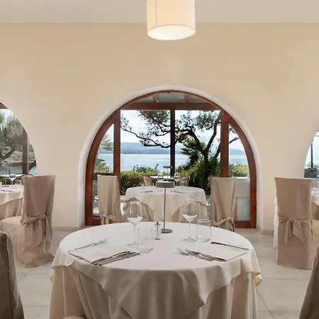 Punta Negra Fertilia