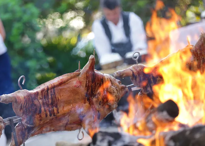 普塔内格拉酒店 4* 费尔蒂利亚